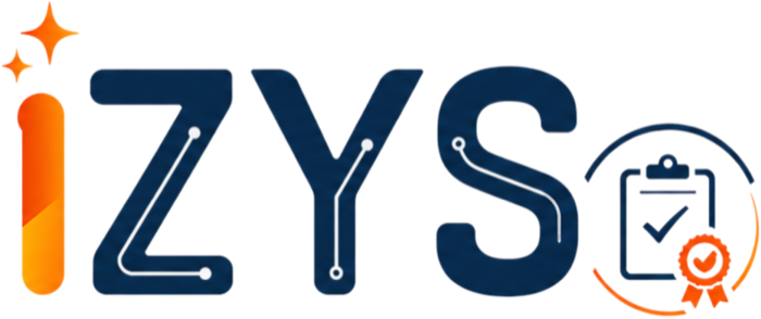 IZYS Audit